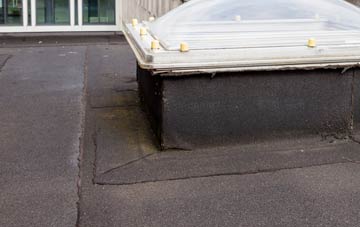 disadvantages of Primrose Hill flat roofs