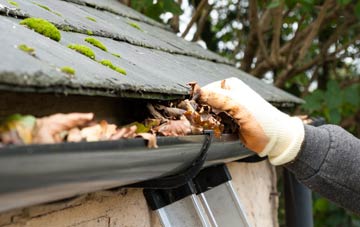 gutter cleaning Primrose Hill