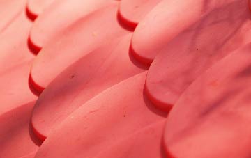 Primrose Hill plastic roof costs