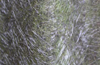 Primrose Hill fibreglass roof work